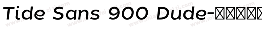 Tide Sans 900 Dude字体转换